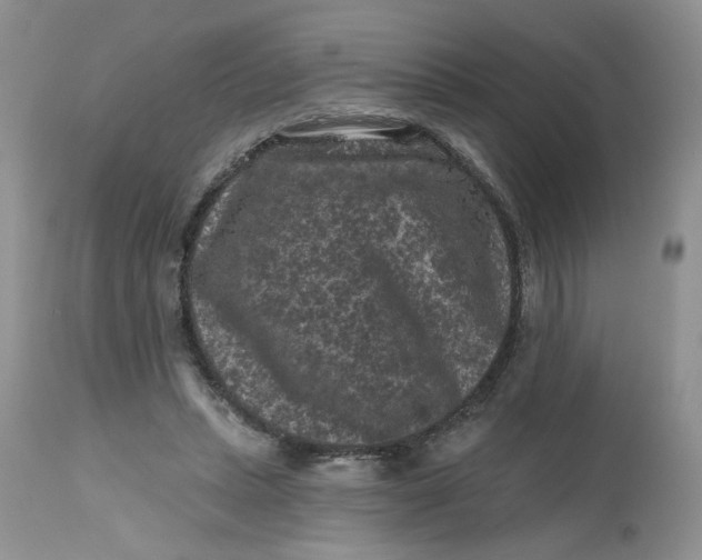 X0000112800447200909111239