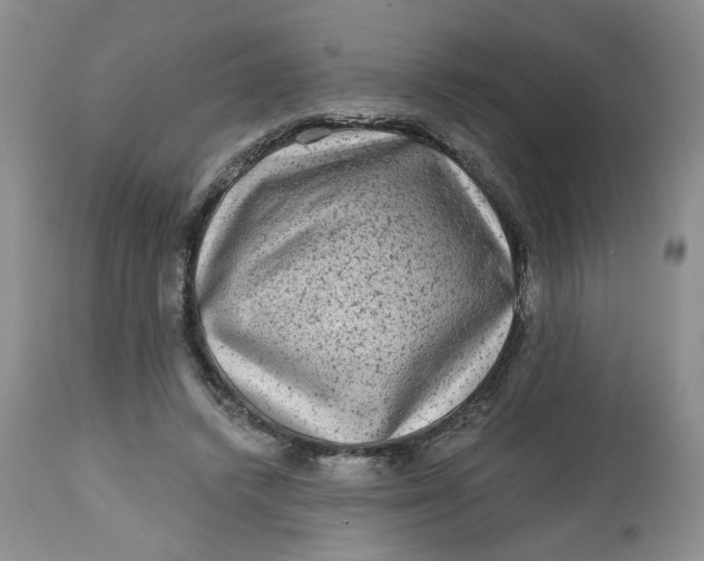 X0000112800448200909111240