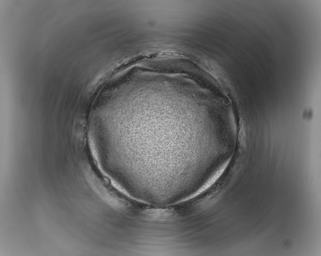 X0000112800449200909111240