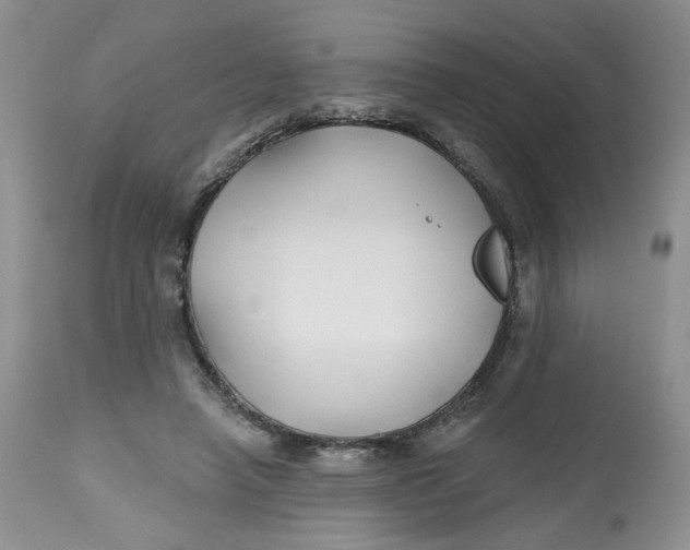 X0000112800450200909111240