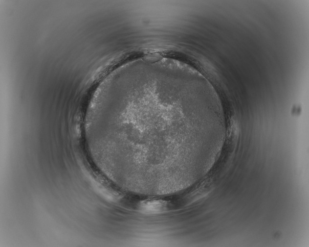 X0000112800452200909111240