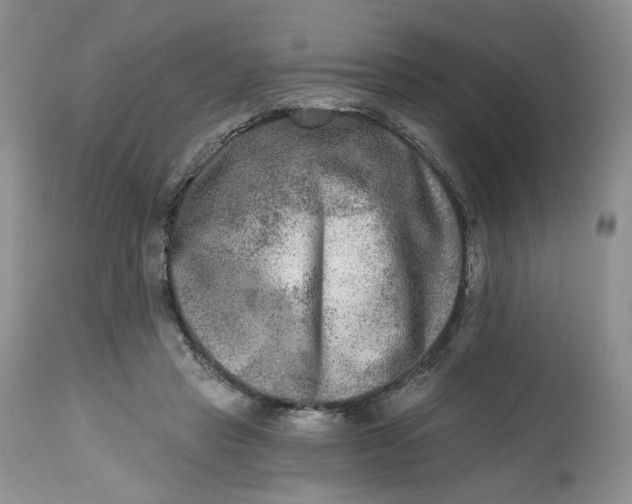 X0000112800453200909111240