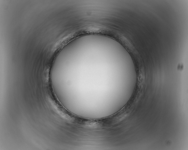 X0000112800454200909111240