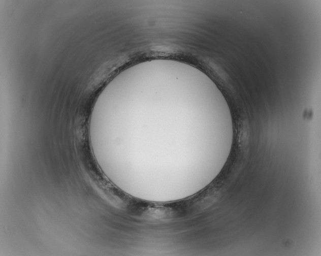 X0000112800455200909111240