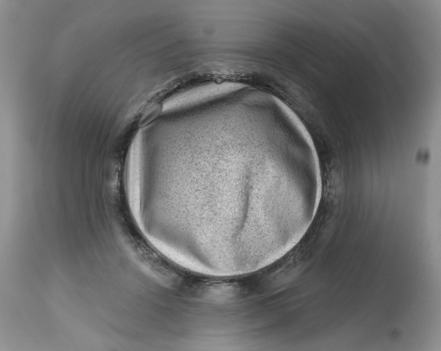 X0000112800456200909111240