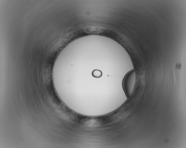 X0000112800460200909111240