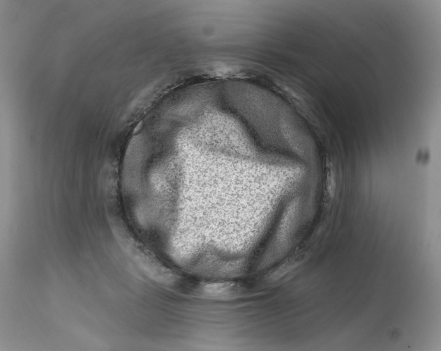 X0000112800461200909111240