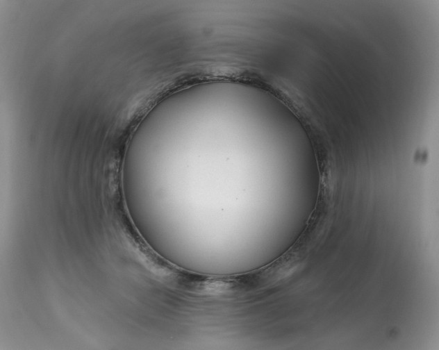 X0000112800462200909111240