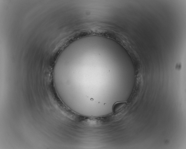 X0000112800464200909111240