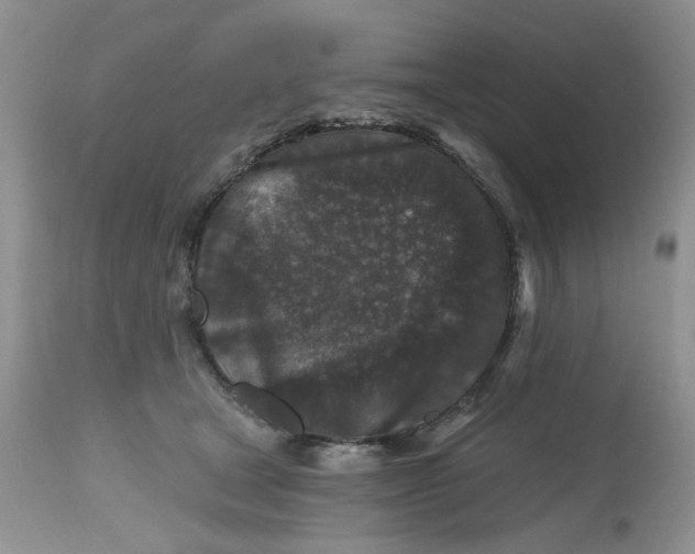 X0000112800465200909111240