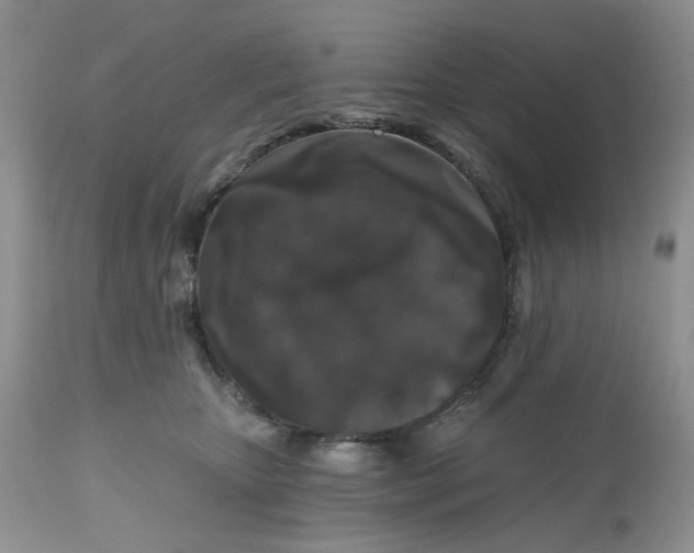 X0000112800467200909111240