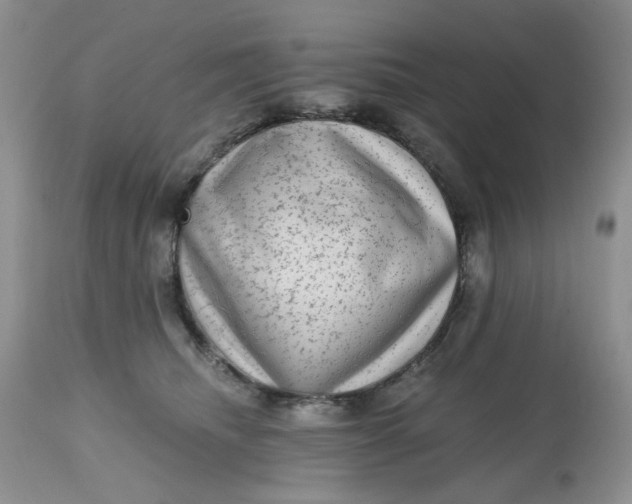 X0000112800468200909111240