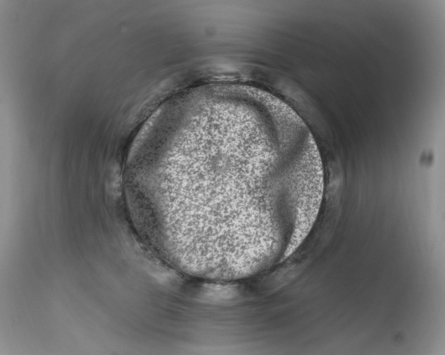 X0000112800469200909111240