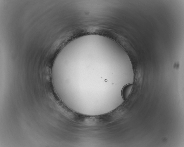 X0000112800470200909111240