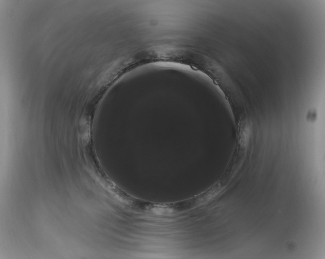 X0000112800471200909111240