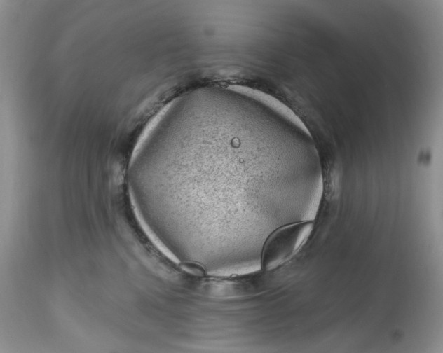 X0000112800472200909111240