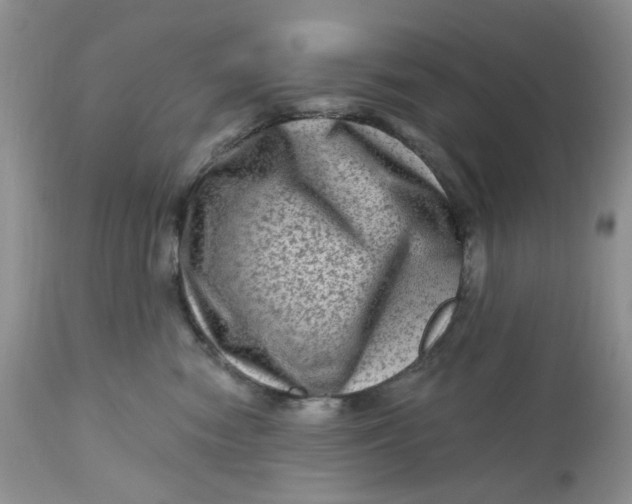 X0000112800474200909111240