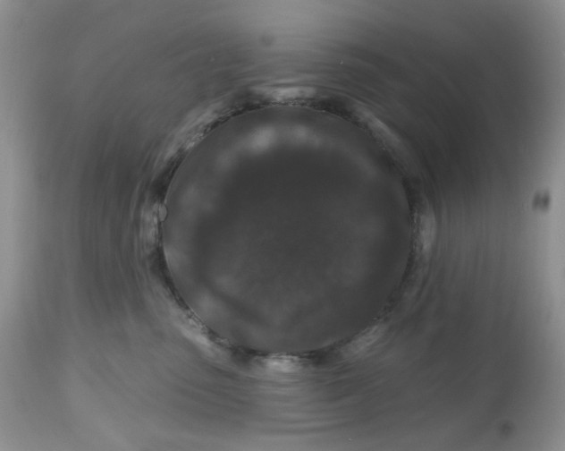 X0000112800475200909111240