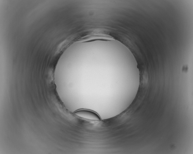 X0000112800478200909111240