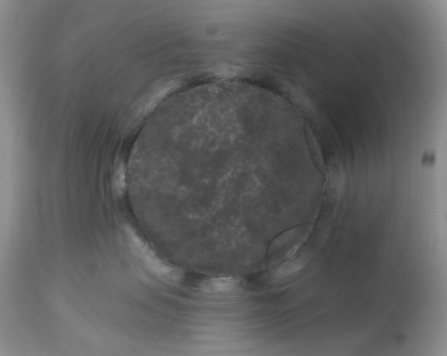 X0000112800479200909111240