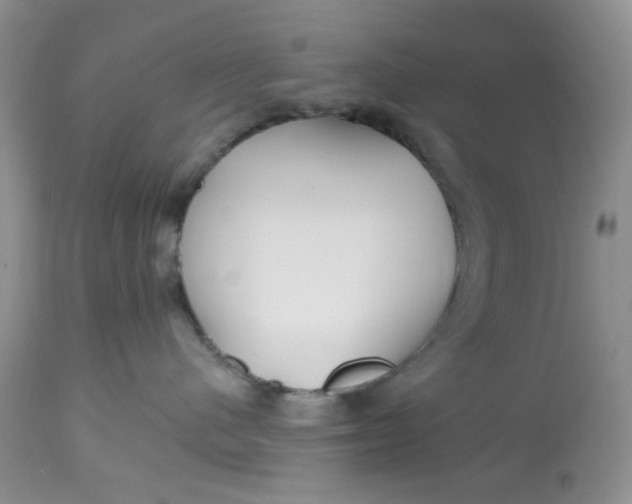 X0000112800480200909111240