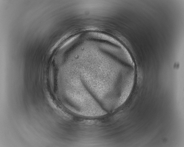 X0000112800482200909111239