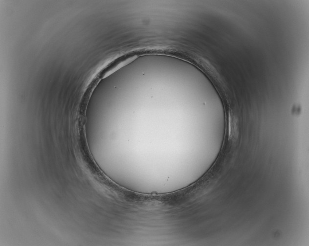 X0000112800483200909111239