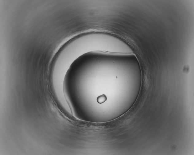 X0000112800484200909111239