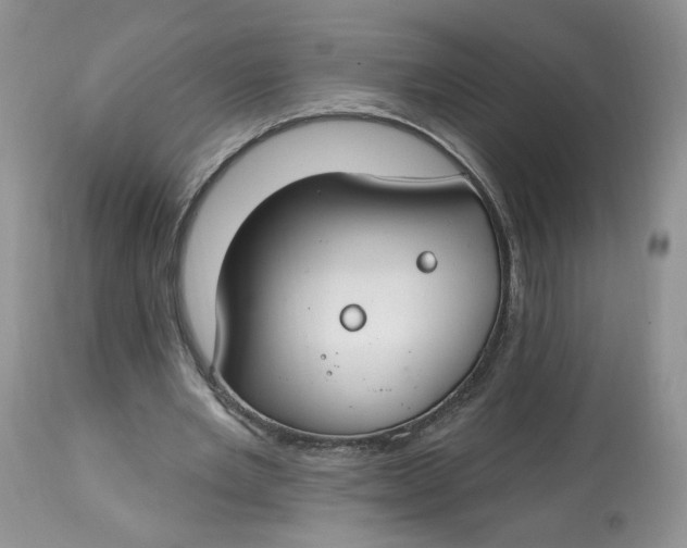 X0000112800485200909111239