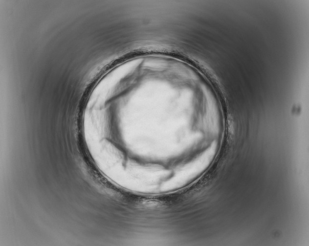 X0000112800487200909111239