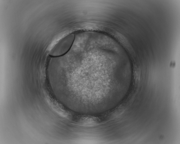 X0000112800488200909111239