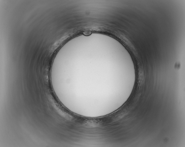 X0000112800489200909111239