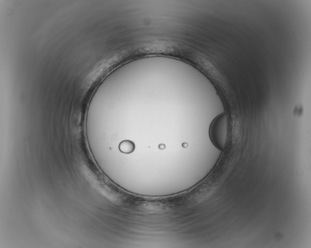 X0000112800490200909111239