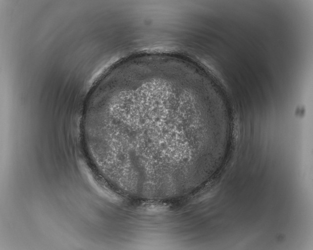 X0000112800491200909111239