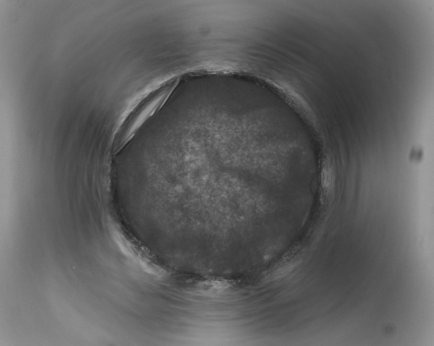 X0000112800492200909111239