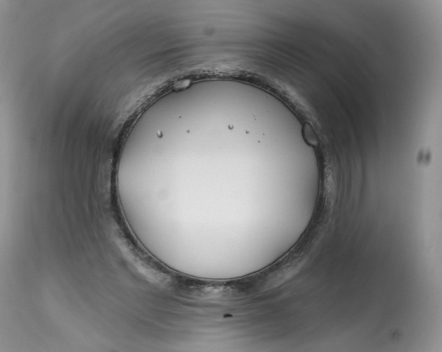 X0000112800493200909111239