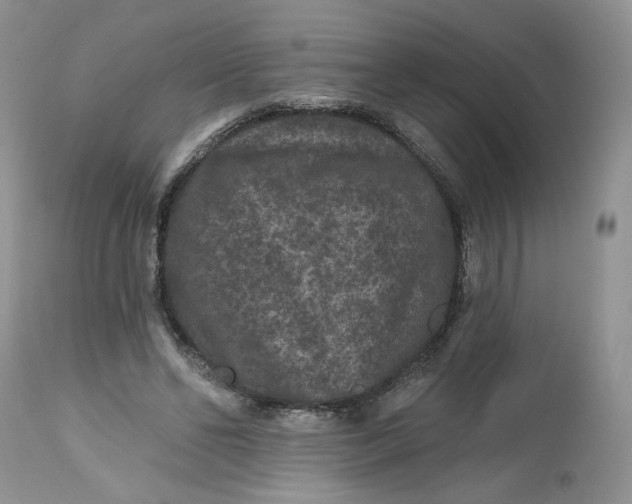 X0000112800494200909111239