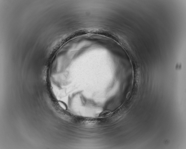 X0000112800495200909111239