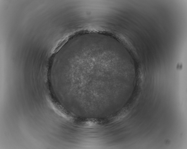 X0000112800496200909111239