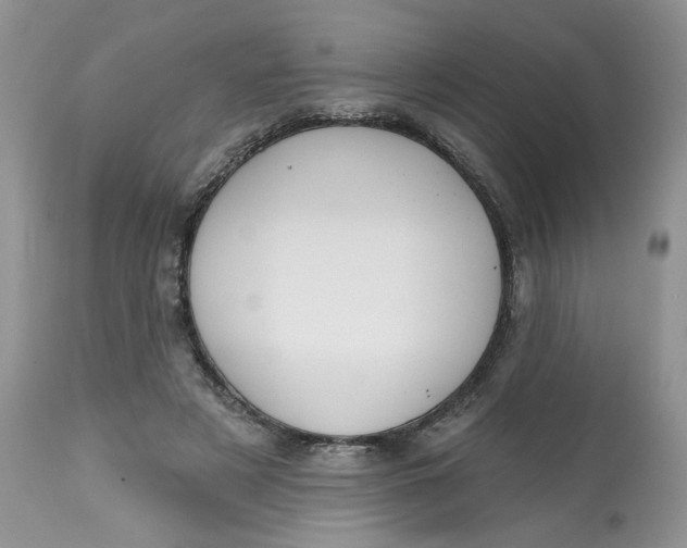 X0000112800497200909111239