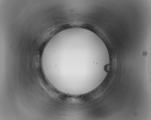 X0000112800498200909111239