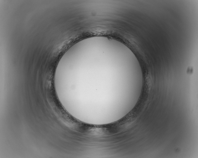 X0000112800499200909111239