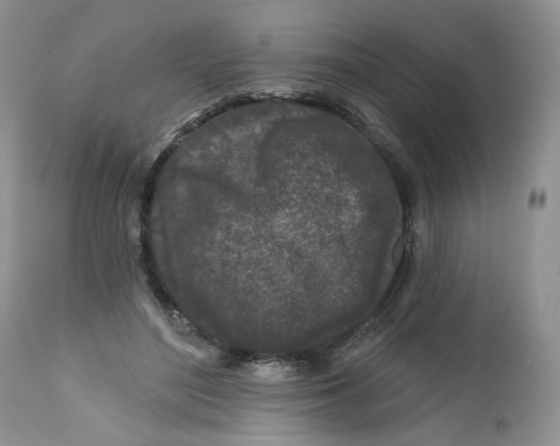 X0000112800500200909111239