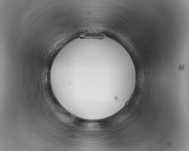 X0000112800501200909111239