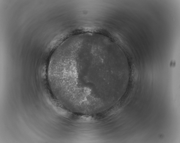 X0000112800502200909111239