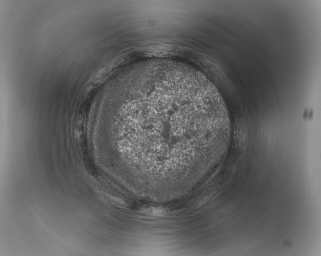 X0000112800503200909111239