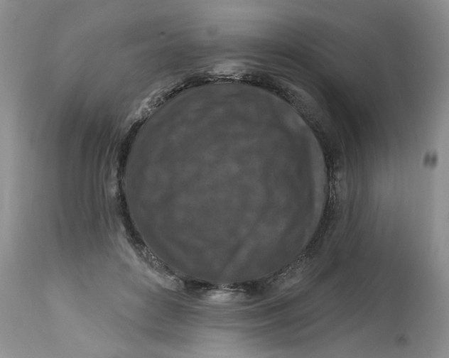 X0000112800504200909111239