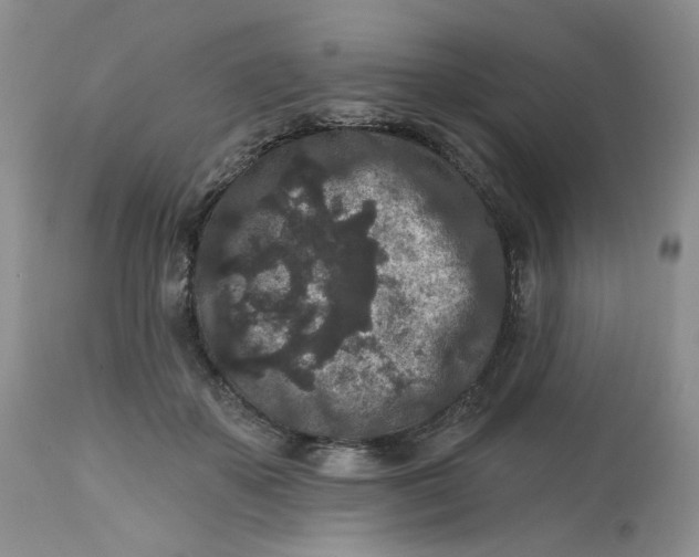 X0000112800507200909111239