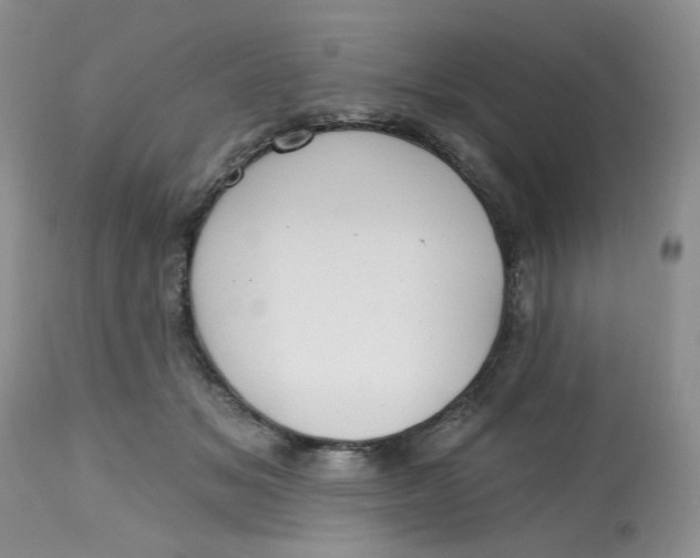 X0000112800509200909111239