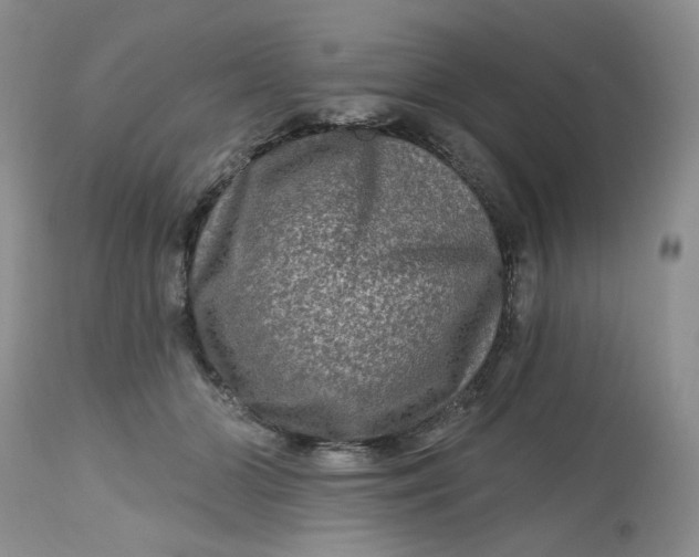 X0000112800510200909111239